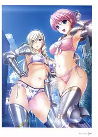 Walkure Romanze Visual Fan Book