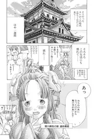 [Miyazaki Maya] Miyazaki Maya Daizukan EX Deluxe Special