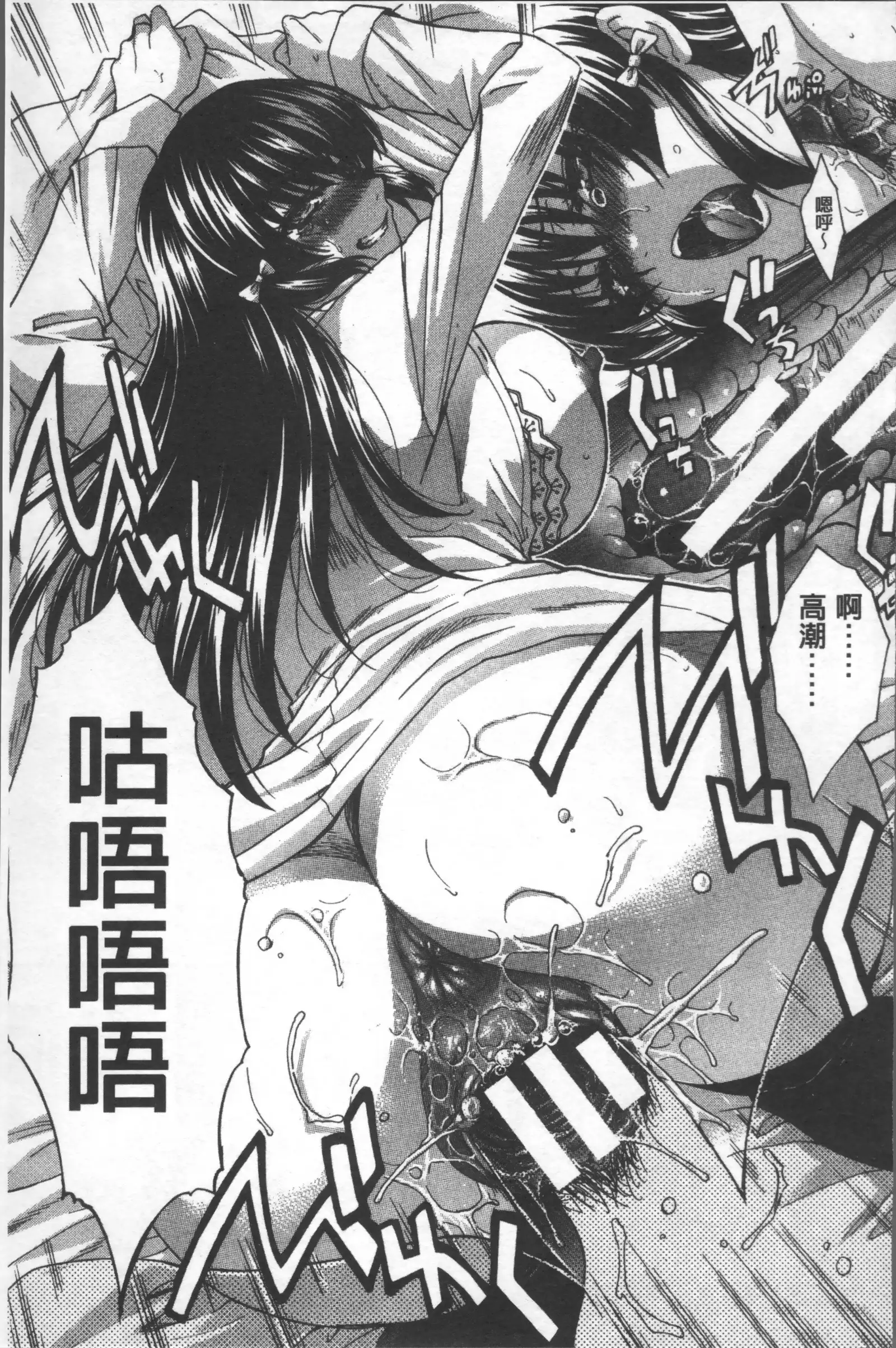 Animator, Iede Shoujo o Hirou.