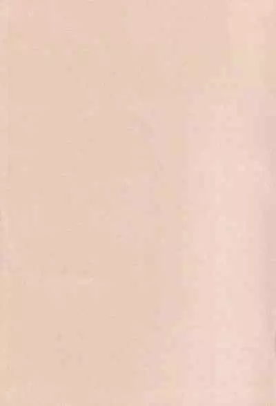 Official Alicesoft Full Completion Guide 2 (PC-CUPID)