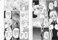 [Global One (MARO)] Shalader Vol. 2 - The Past and the Future