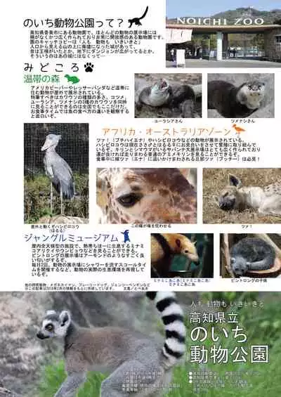 may Kemono Friends Thre Goudoushi