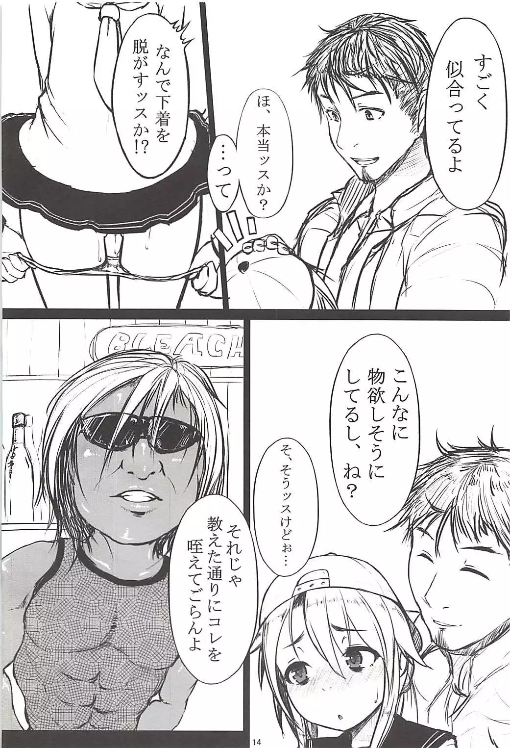 Pawaplus H 2013 Fuyu