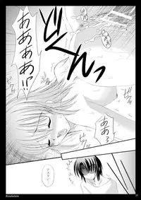 [ARC (Tamagawa Yukimaru)] Resolution (Gundam SEED DESTINY) [Digital]