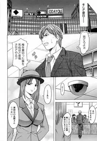 [Hoshino Ryuichi] Hataraku Oneesan ha Back ga Osuki