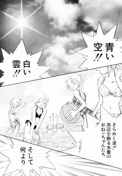 [Hikaru Nagareboshi] Seigi No Mikata Mo Raku Zya Nai