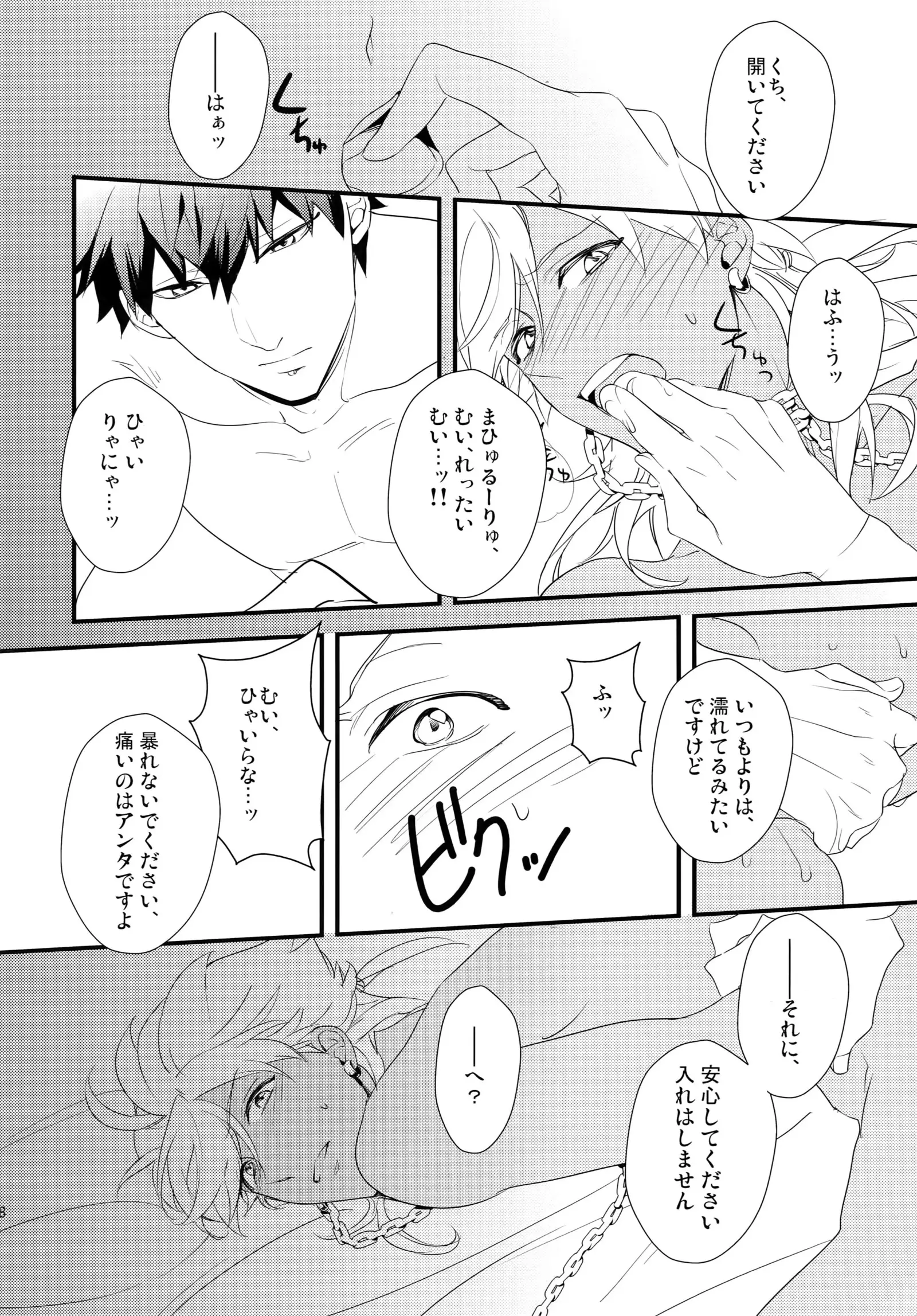 PureSlider. Sairoku 2011 - 2012