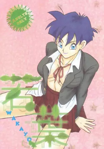 [Chirigami Goya, Fusuma go Ten (Shoji Hariko, Kuri)] Wakayo (Dragon Ball)