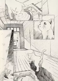 (C62) [Henrei-kai (Kawarajima Koh)] Dosei Ame (Bishoujo Senshi Sailor Moon)