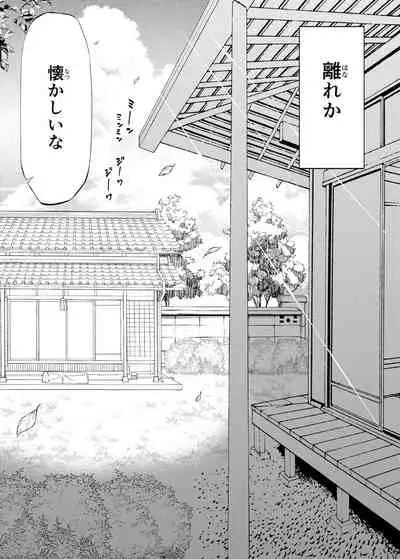 Natsu no Yari Naoshi