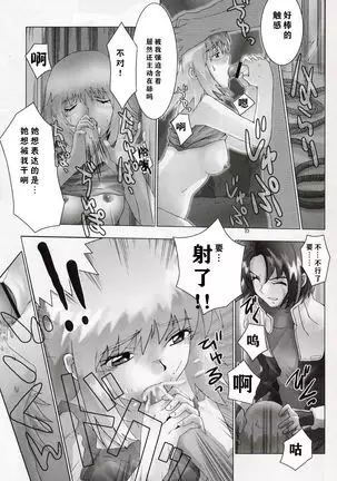 Ketsu Megaton Seed 【零食汉化组】