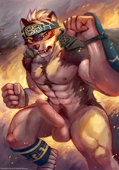 February 2017 Package Reward