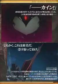 Dies irae Visual Fanbook - White Book