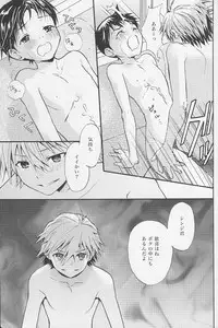 (C77) [RAYTREC (Fuyunagi Reku)] +PLUS (Neon Genesis Evangelion)