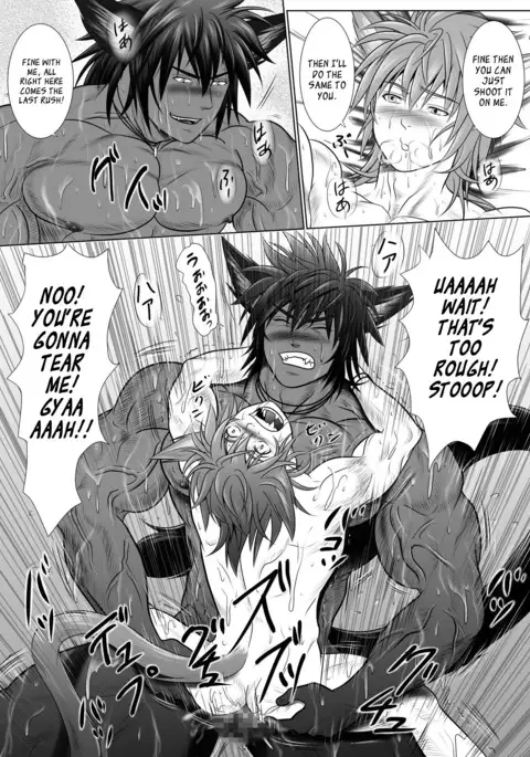 Vanilla Lynx, Tri Edge