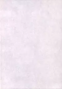 (C68) [Ponkotsu Works] Asazuba! (Ragnarok Online)