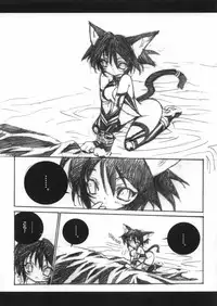 (C65) [Galaxist (Blade)] Nekokuro Dirty Desire