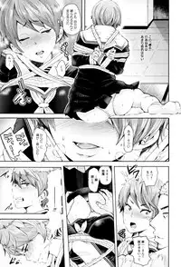 [Shomu] Fall In The Dark