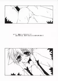 [NV3OFFLINE] SILVIA (Galaxy Angel)