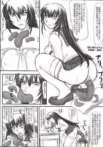 Tatakae! Kyouhime-sama!!