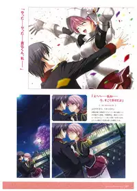 Walkure Romanze Visual Fan Book