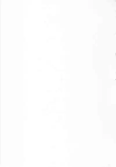 "Datte Fuku, Taka Iindamon"