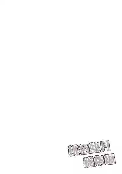 Momoiro-netsuduki Soushuuhen Sairoku