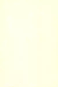 (C70) [Cream Zenzai (Zen.)] EroChika Seven (Ichigo Mashimaro)