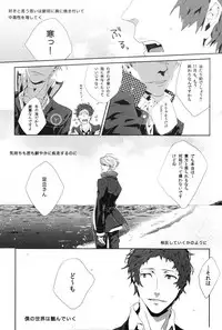 (SPARK6) [shell (hanaya)] Last Night (Persona 4)