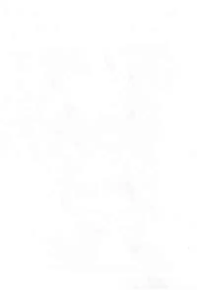 Nyan Nyan Orange Tsuushin