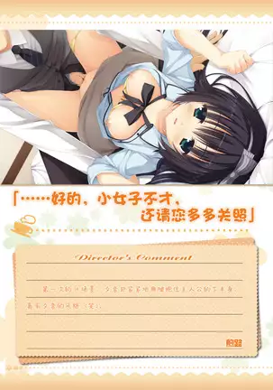 AMAIRO ISLENAUTS OFFICIAL VISUAL FAN BOOK
