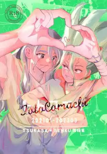 TotoComachi TsukasaSen Sairokushuu