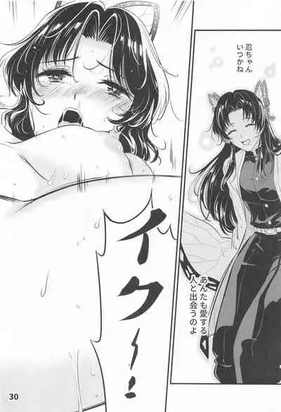 GiyuShino Fujou Aigi