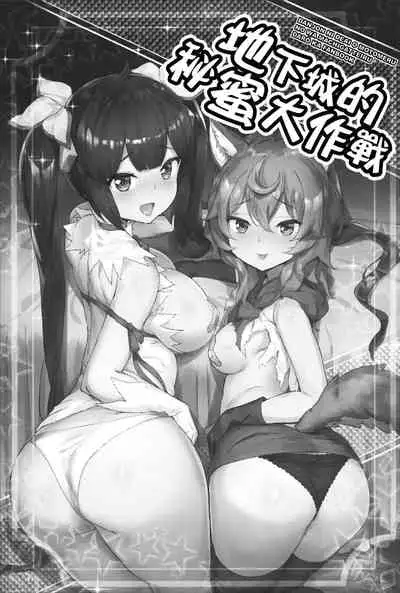 Secret Dungeon Battle