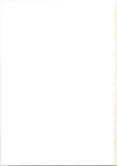 Chotto Kawatta Majokko Hon 2