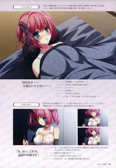 ChuSinGura 46+1 Official Visual Fan Book