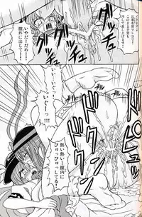 (C75) [Takakuya (Takaku Toshihiko)] Touhou Youjo Ranbu 9 (Touhou Project)