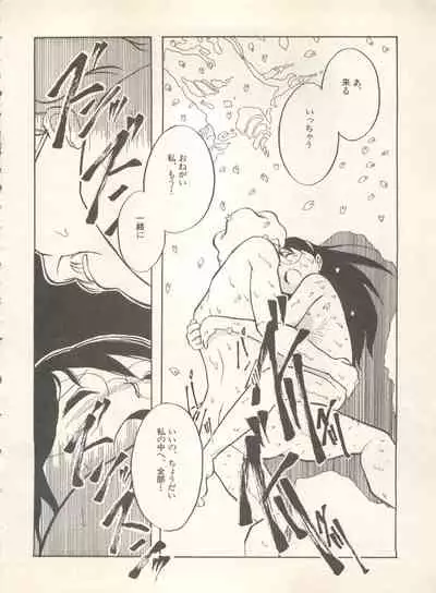 Shin Bishoujo Shoukougun 4 Houou hen