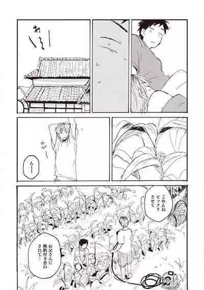 Hatomugi Batake de Tsukamaete - The Catcher in the Hato