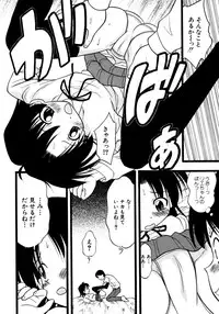 [yeahhhy tomii] Meconopsis