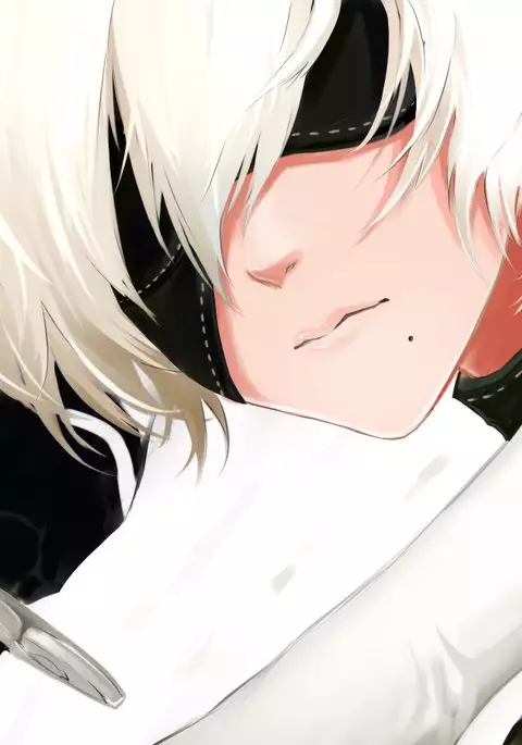 ヨルハ二号B型 punishment