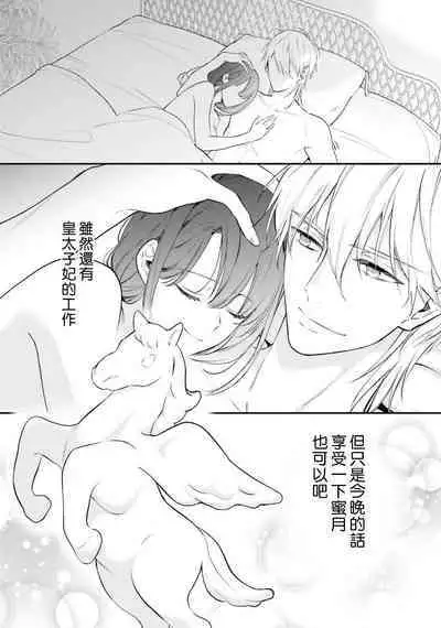 isekai de migawarihime ninari haou ni ubawaremashita ​| 在异世界成为了替身公主被霸王掳走了 1-12 end