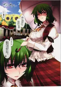 (C81) [Shimoyakedou (Ouma Tokiichi)] Himawaribatake de Tsukamaete (Touhou Project)