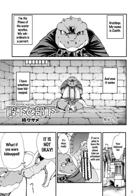 The Prince of Zenith