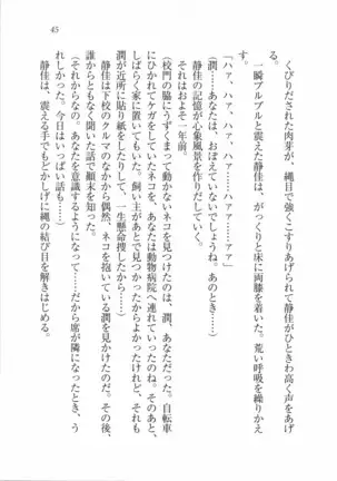 えむ×えむ！ 妹と生徒会長