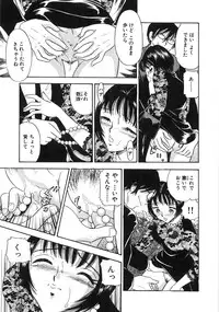 [Satou Marumi] Okusama Ha Chijyo ~Shuuchi Hen~