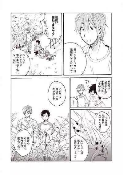 Hatomugi Batake de Tsukamaete - The Catcher in the Hato