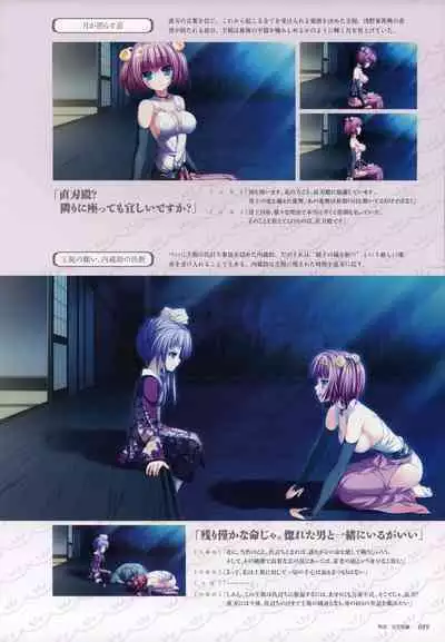 ChuSinGura 46+1 Official Visual Fan Book