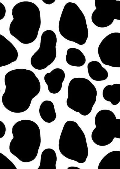 Kumo-san Jirushi no Youhei Milk