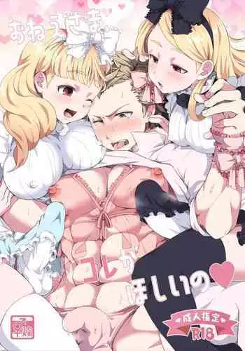 Onee-sama, Kore ga Hoshiino